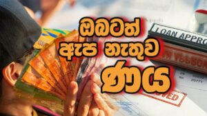 Credit without guarantors